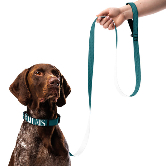 Sea Green Firulais Pet collar & leash