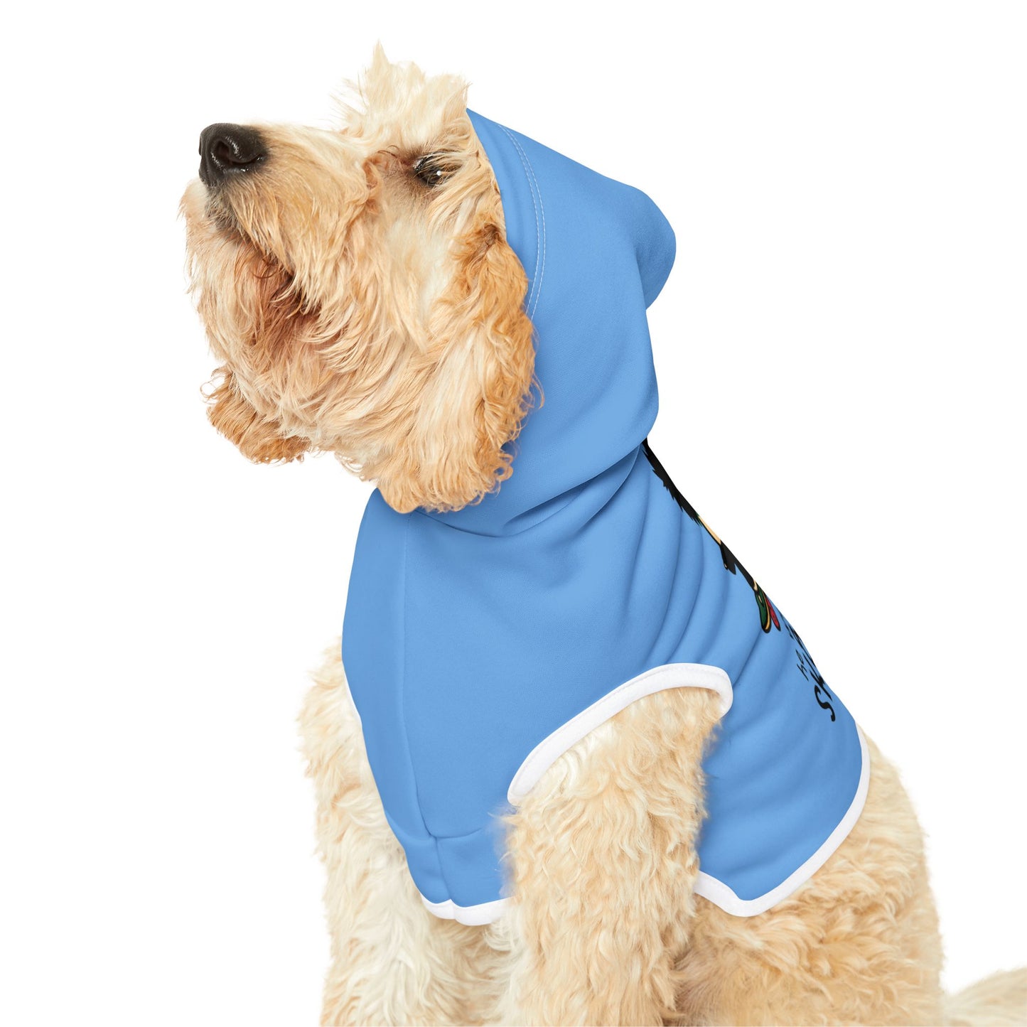 Trendy Pet Hoodie - 'He Was a Sk8ter Boi' Dog Sweater for Cool Pets