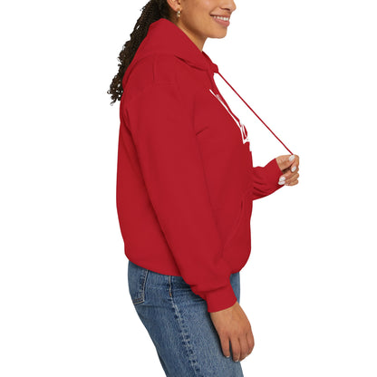 My Day 1 Dog Lover Hoodie - Unisex Heavy Blend™ Sweatshirt for Pet Owners