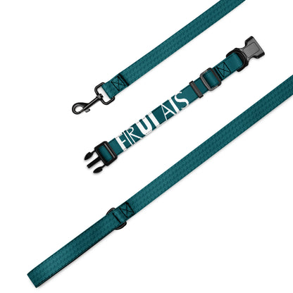 Sea Green Firulais Pet collar & leash